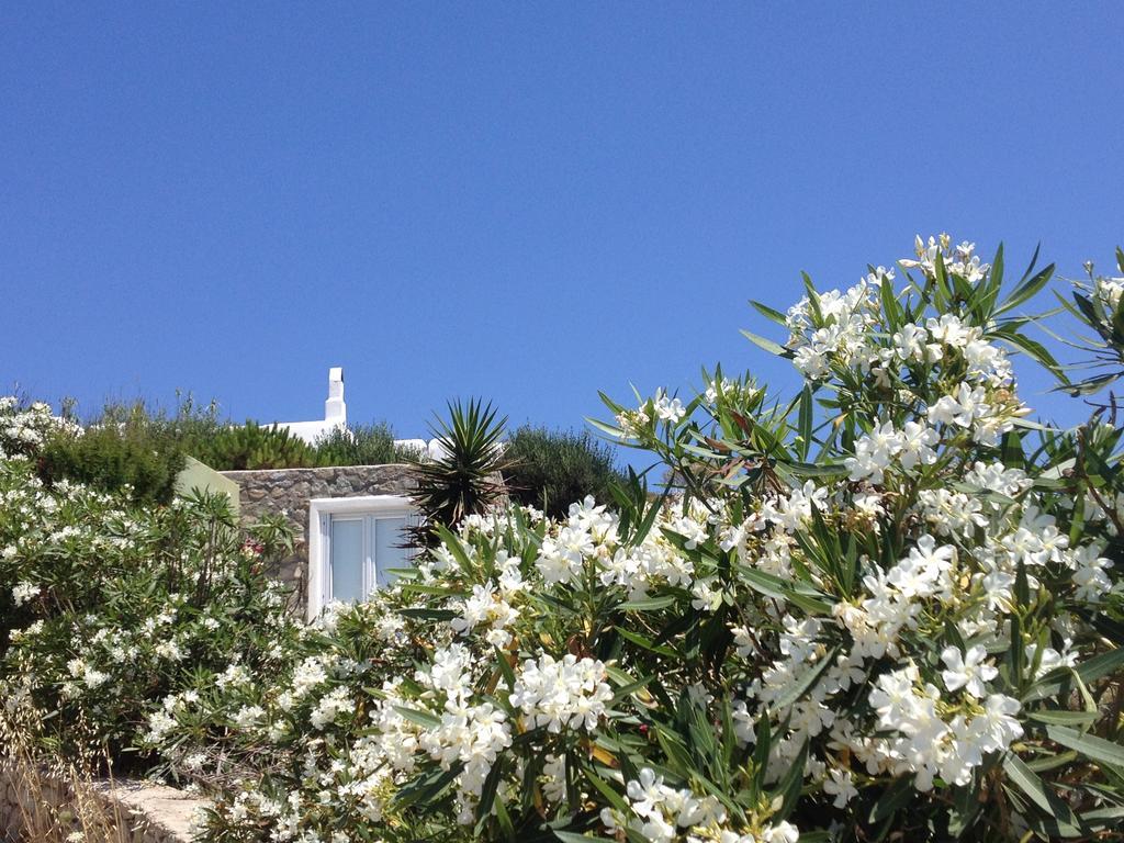 Mykonos Love Nest Ano Mera Habitación foto